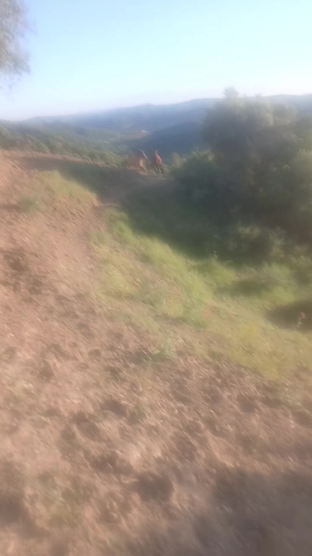 @🇪🇸Tequila-hottah&uuml;🇪🇺