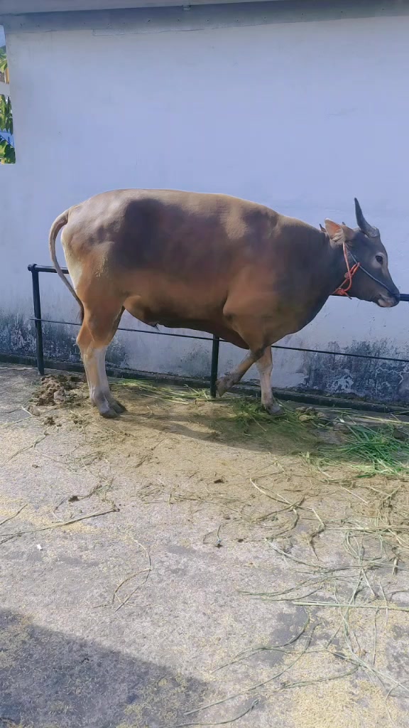 @🌻⚘️DY⚘️🌻