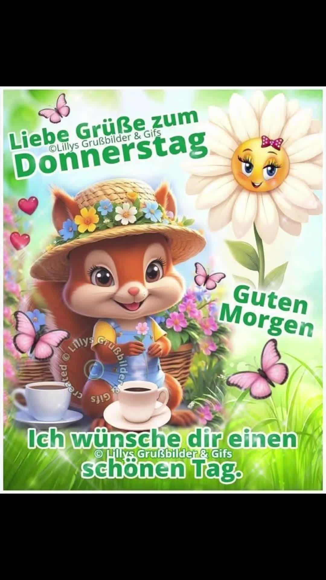 @Steffi Zesewitz