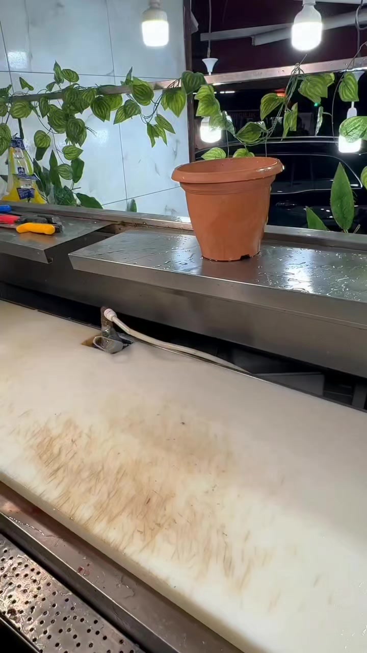 @cihanderyabalikbah&ccedil;elievler