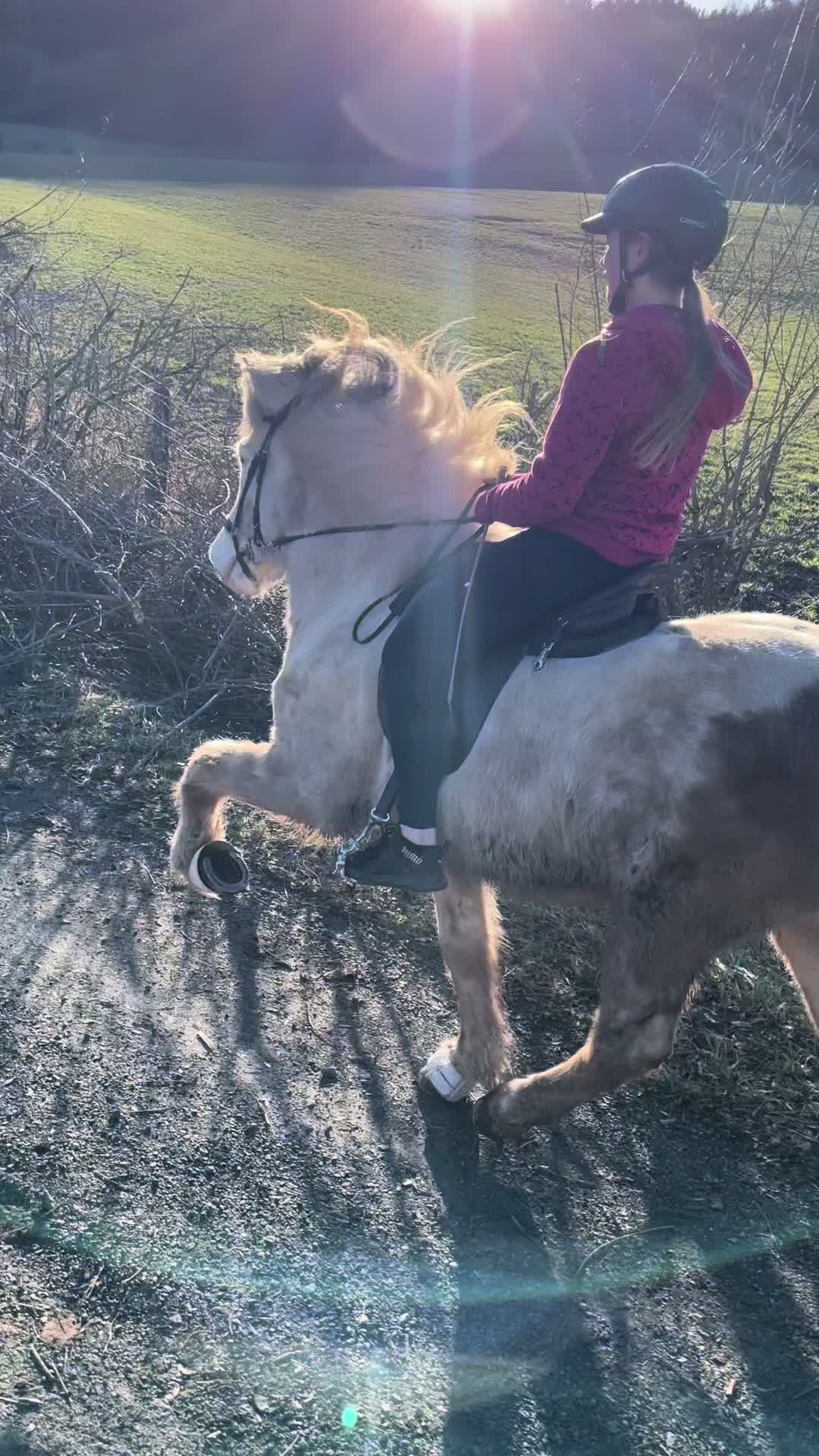 @Albingerhof