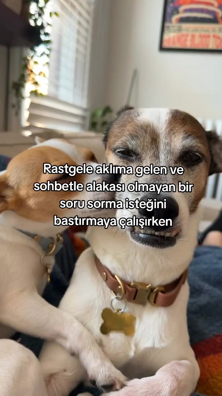@rolland