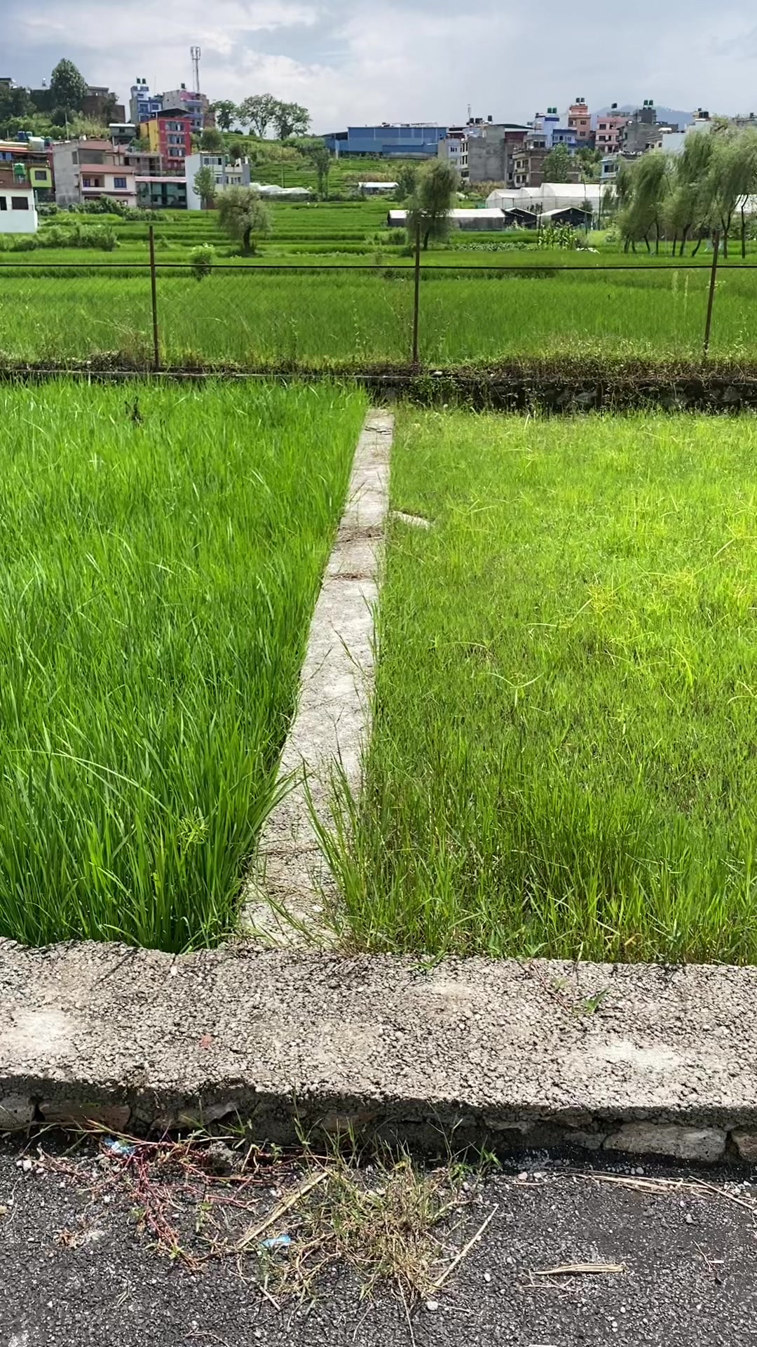 @Thapa_hem