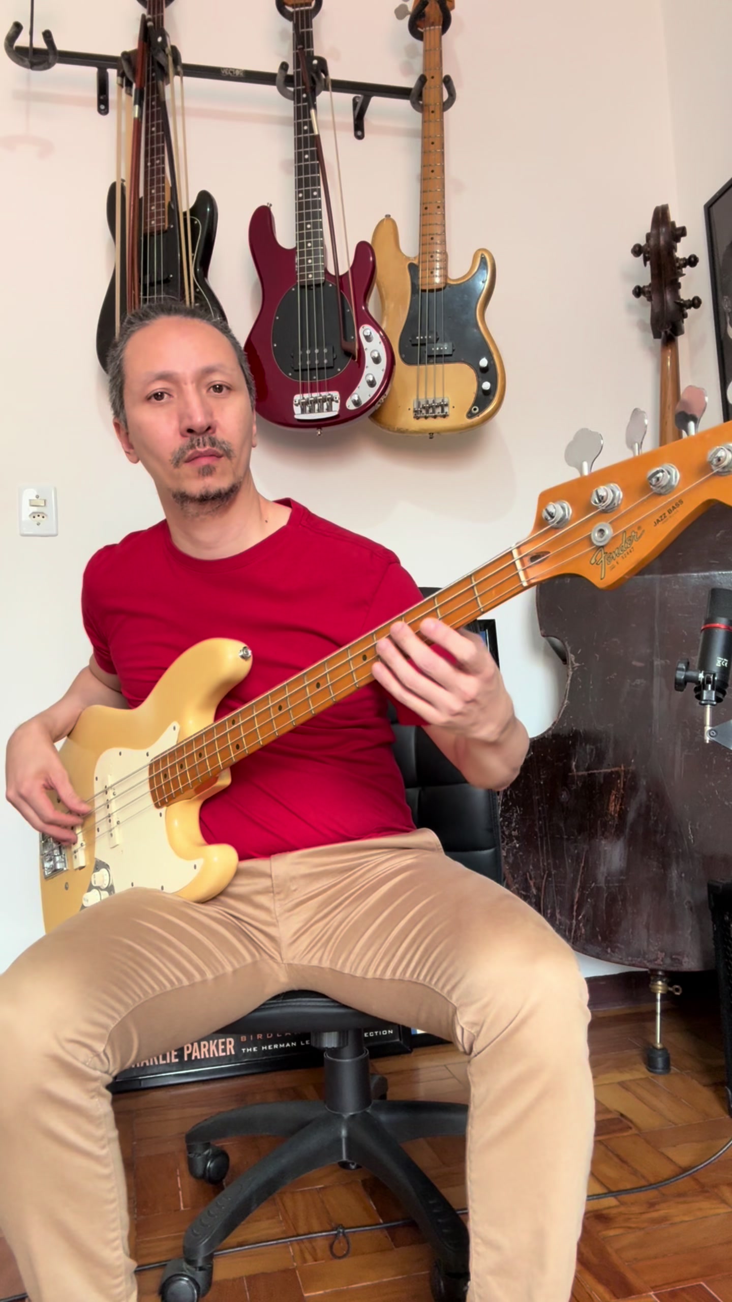 @Gustavo Sato