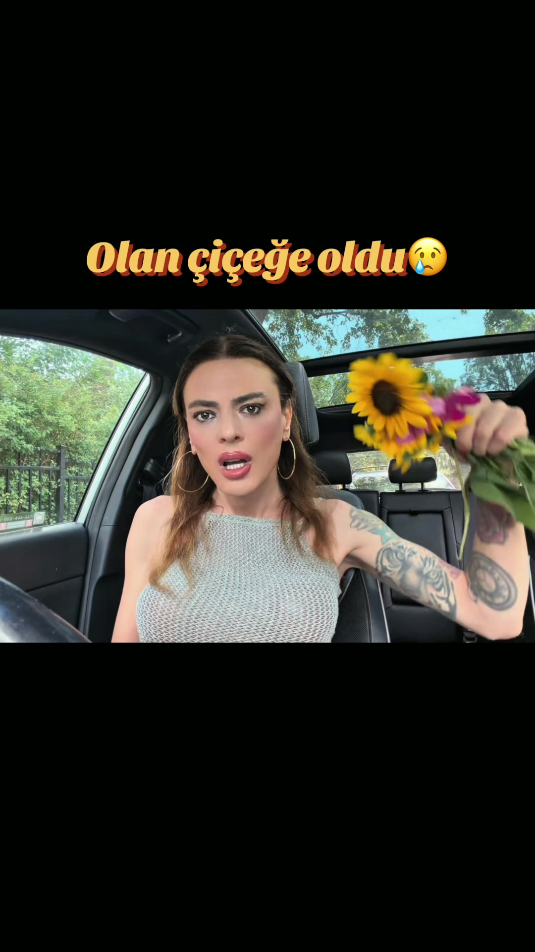 @Ivy Dağhan