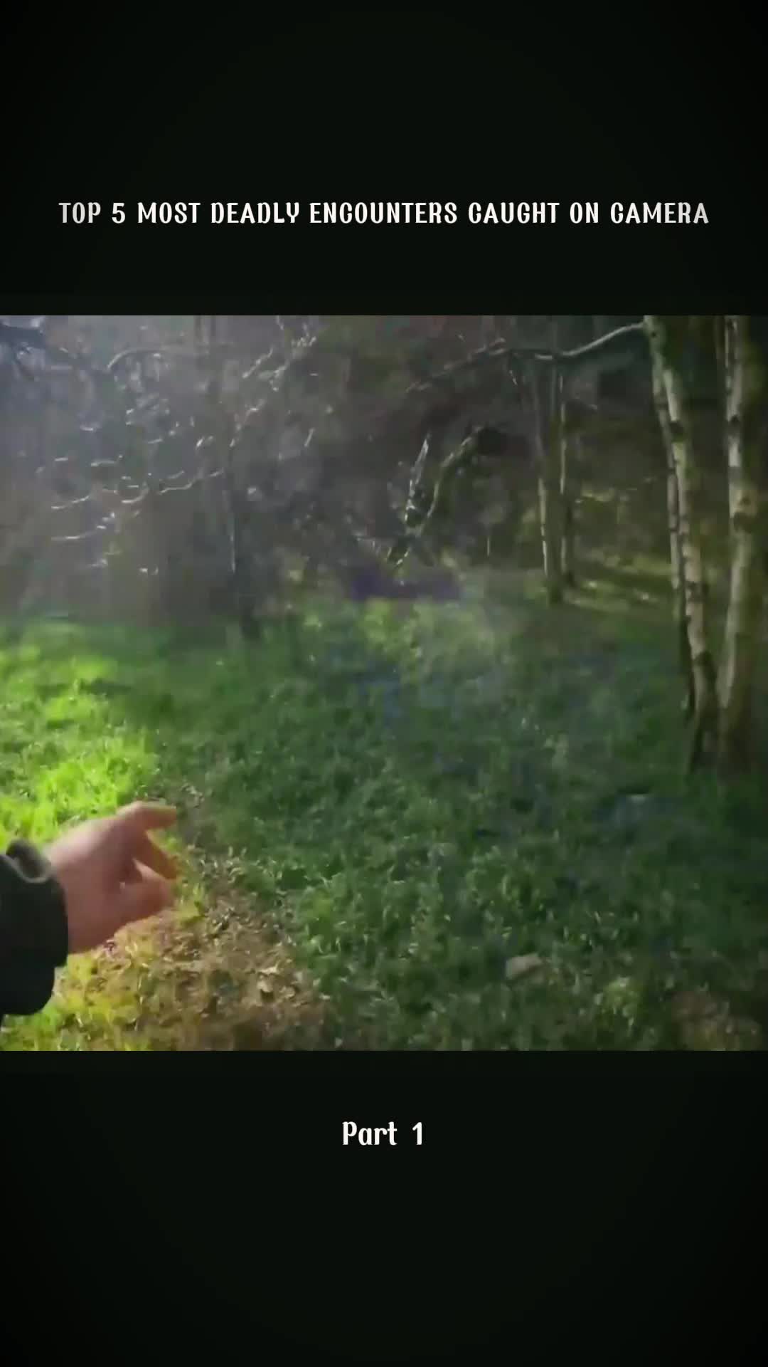 @CreepyStories
