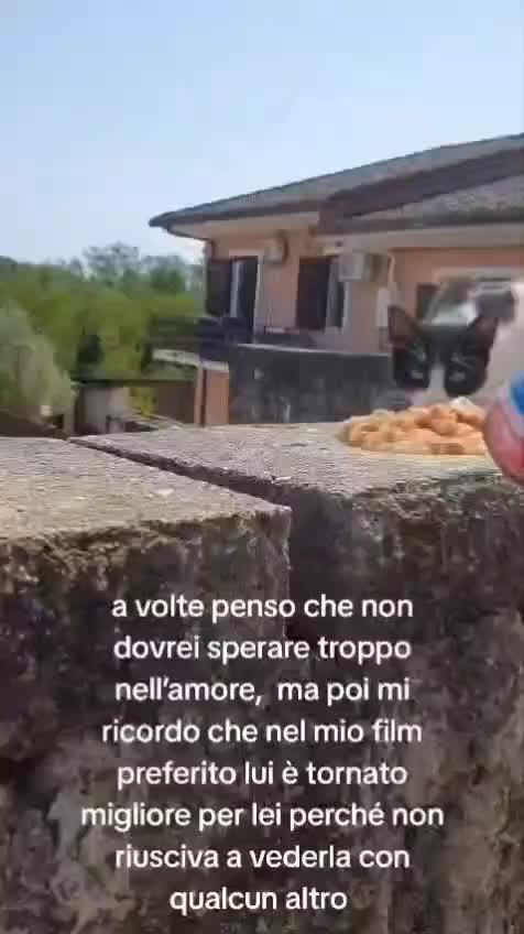 @ELETTRA L'ANIMALISTA