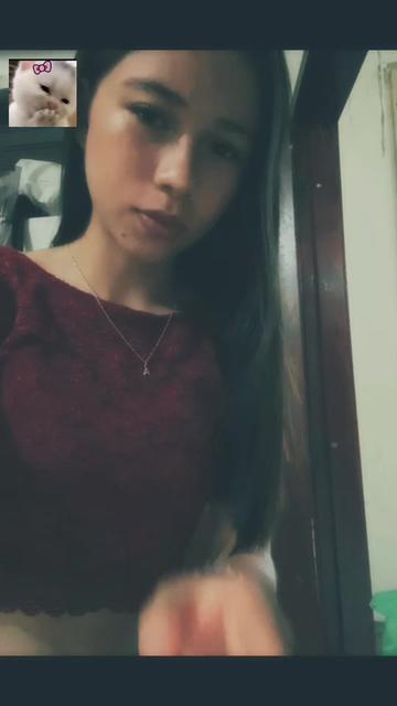 @gattojavier