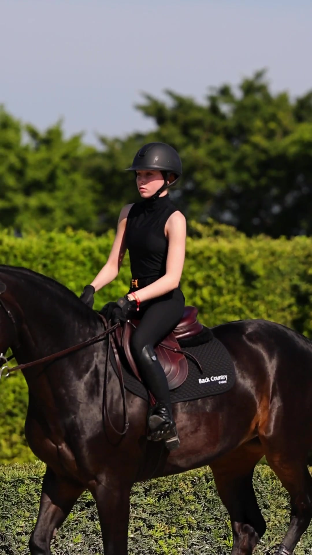 @Equisite Elements of Style