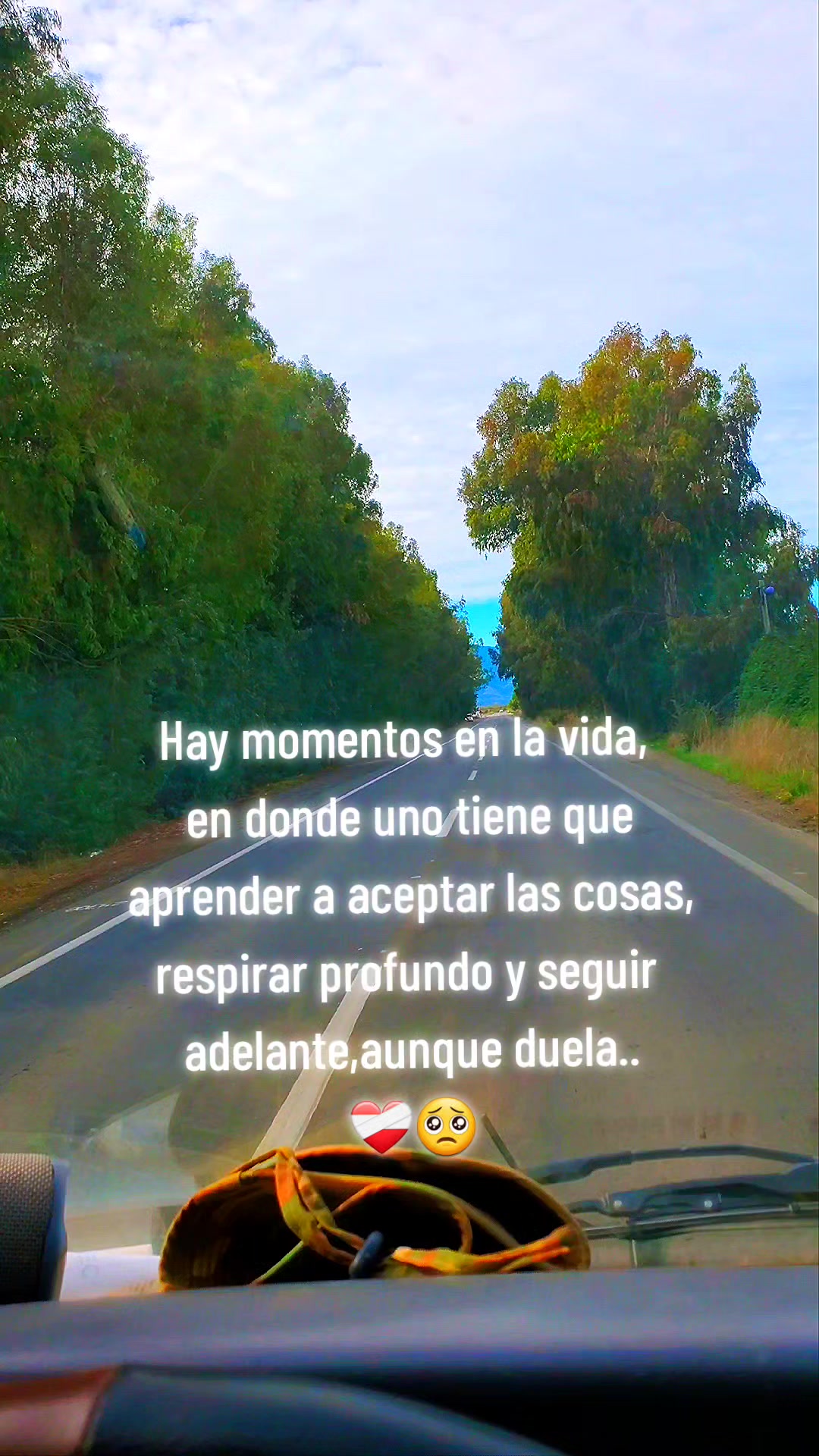 @Roly 🏍⚡️    🇨🇱❤️🇪🇦
