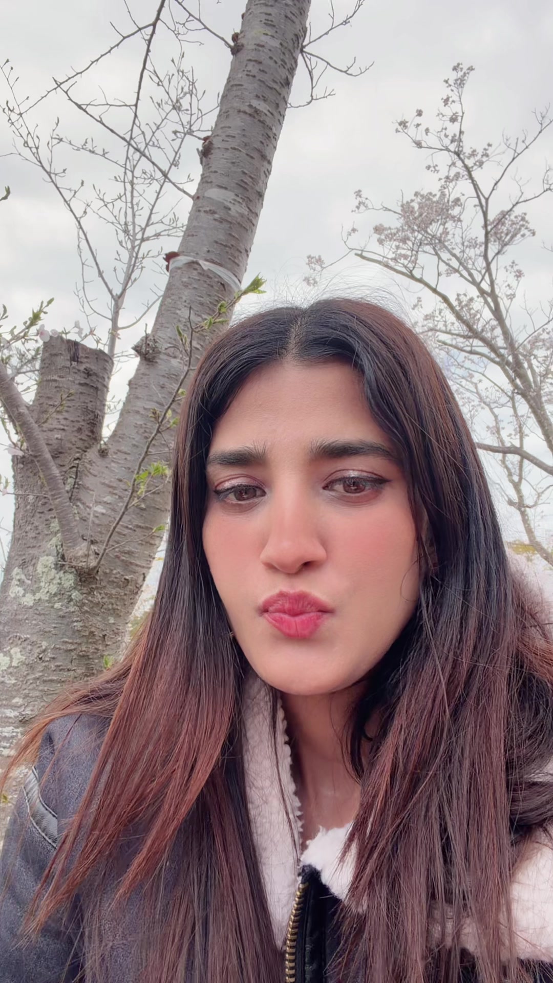 @Reetu