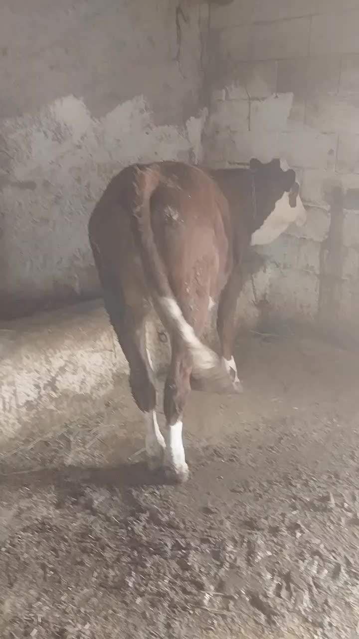 @Deniz G&uuml;ner