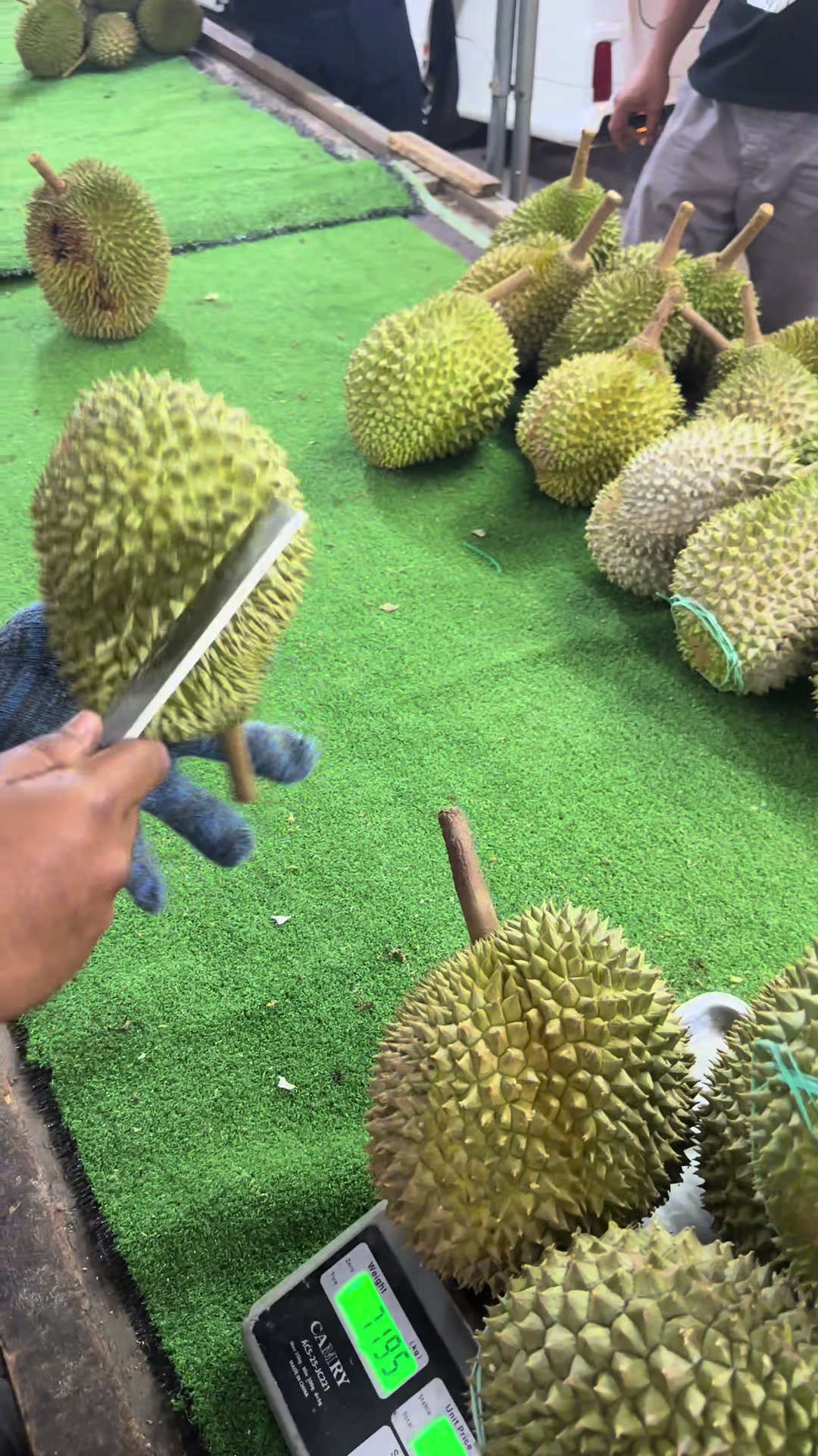 @Durian Batu 6
