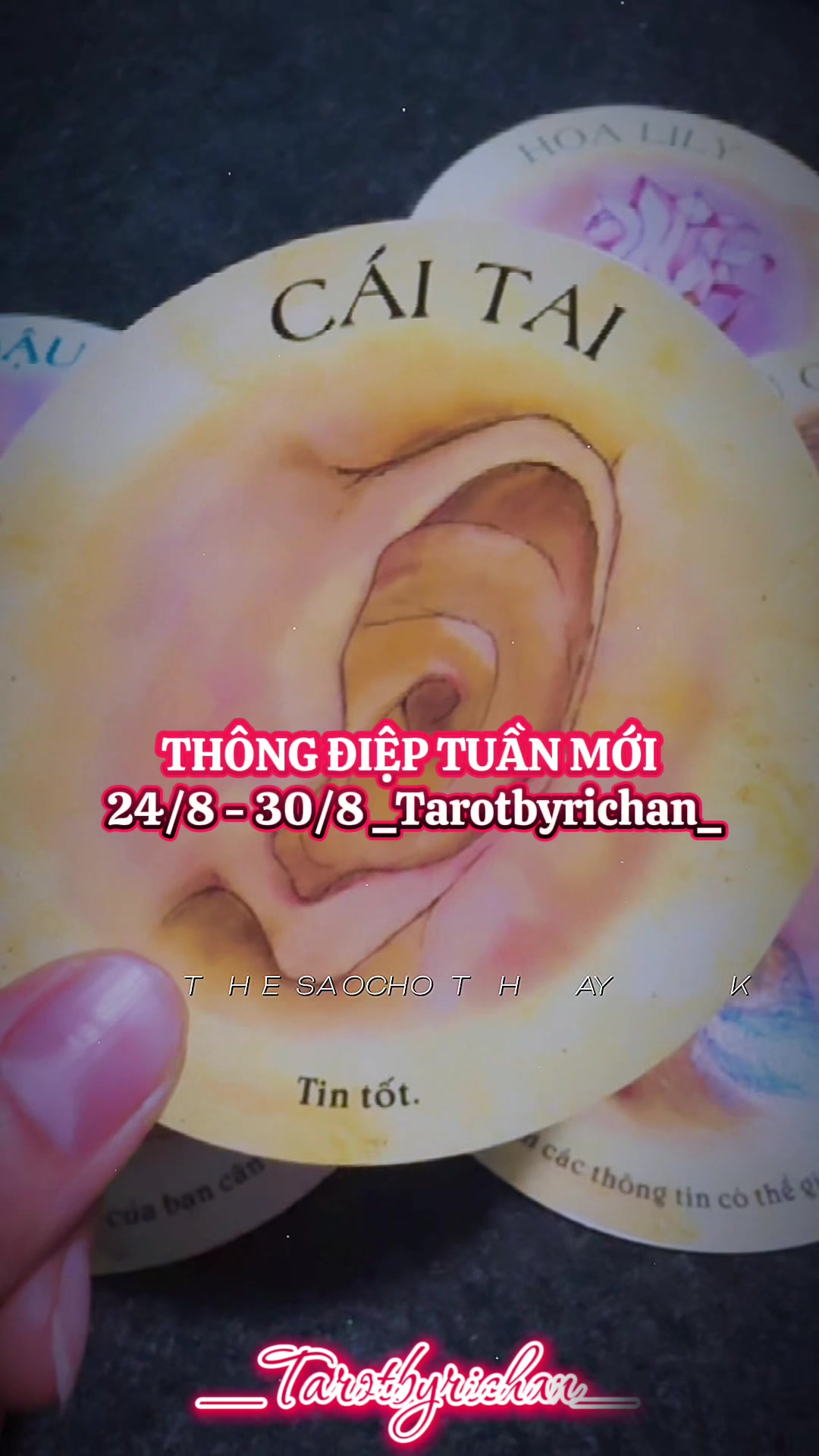 @𝚃𝚊𝚛𝚘𝚝 𝙱𝚢 𝚁𝚒𝚌𝚑𝚊𝚗🔮