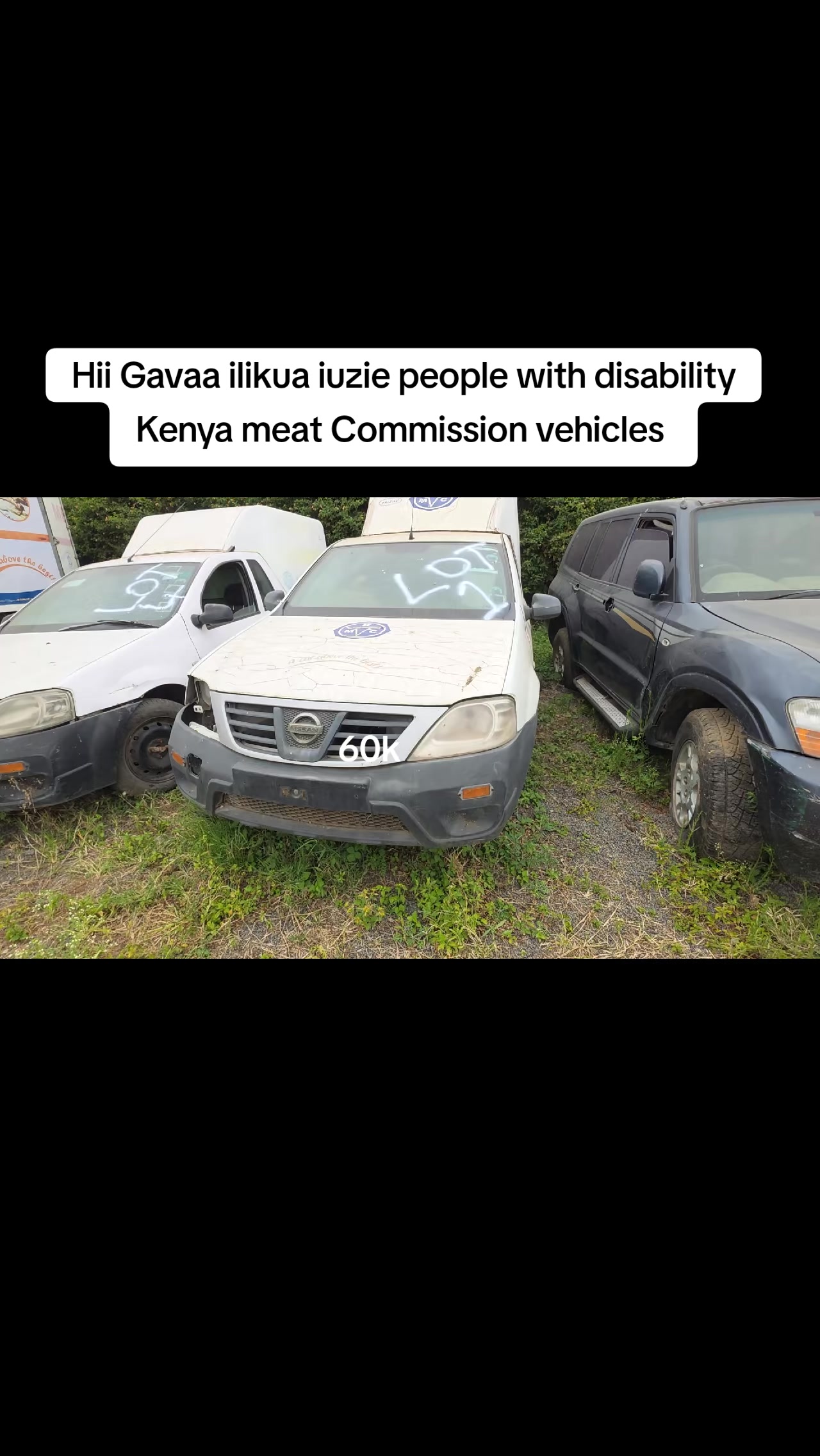 @pamurickshow