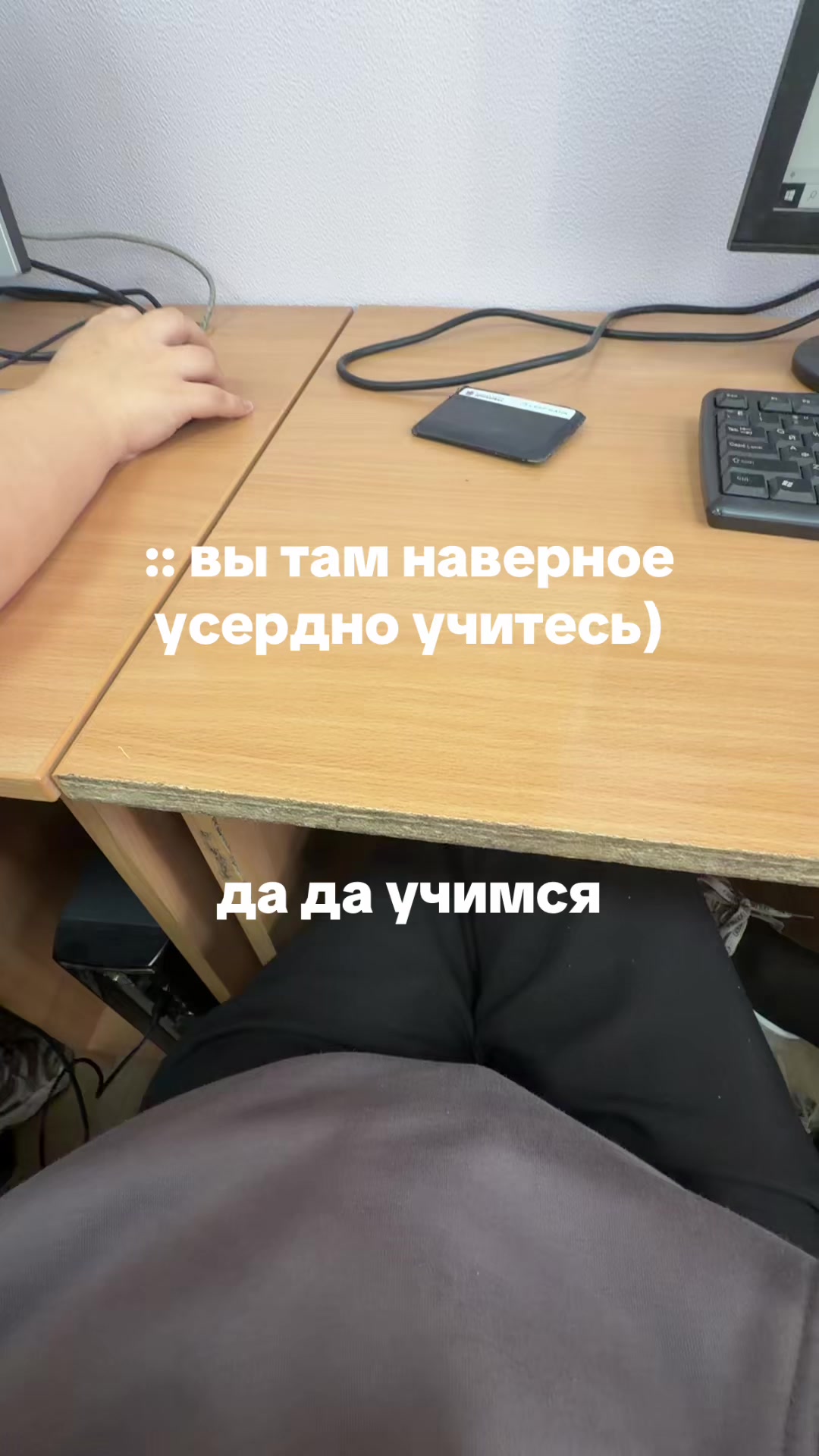 @user10925452558