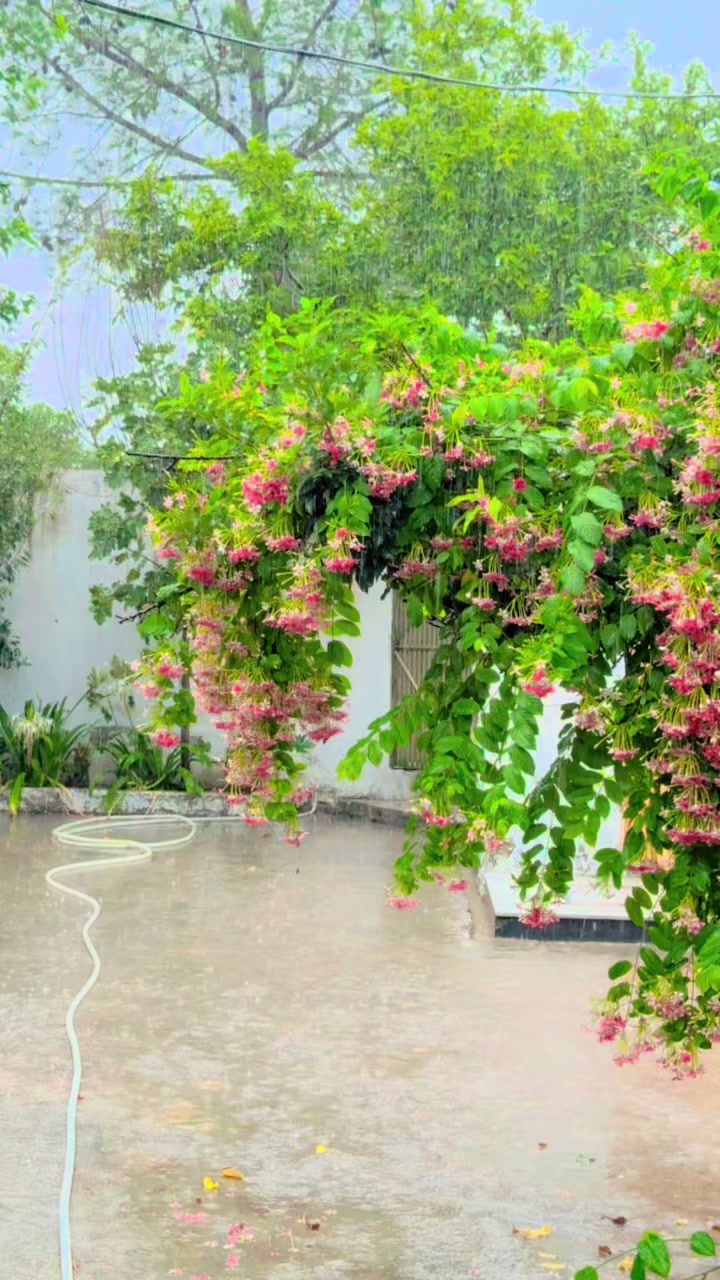 @m.riaz_poswal