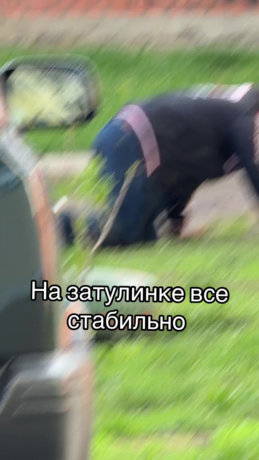 @Ярослава