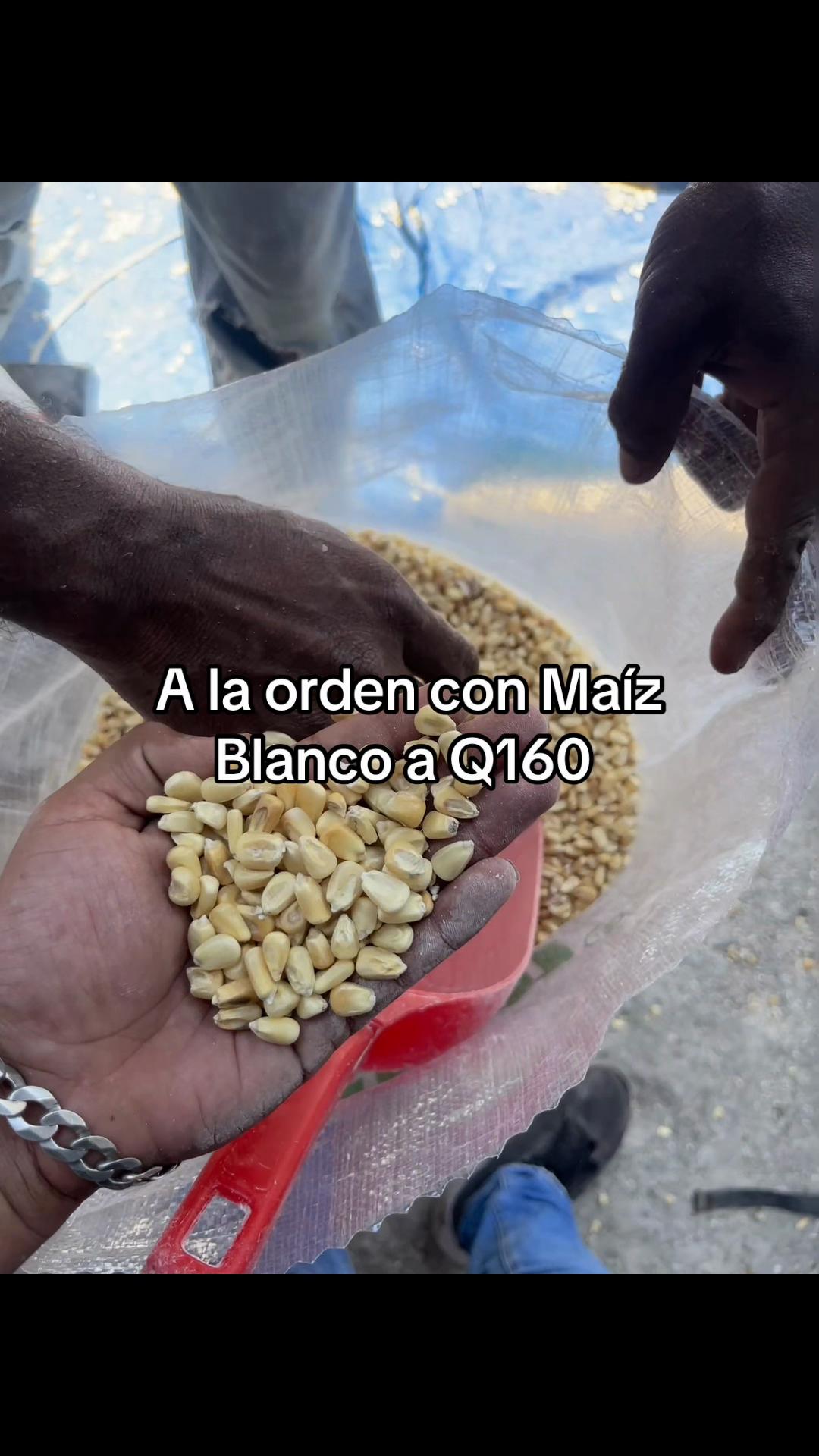@Concentrados La Ceiba