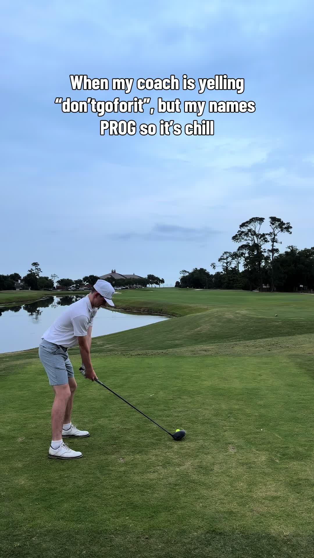 @prog_zilla