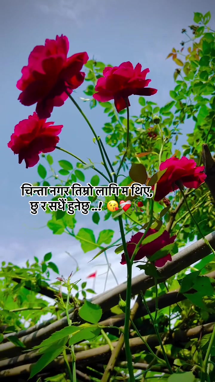 @Pandey Ramu