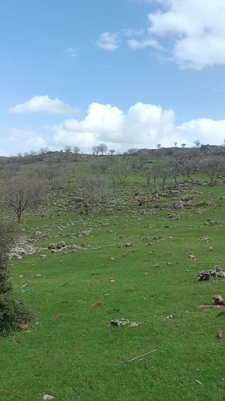 @𝓕𝓮𝓻𝓱𝓪𝓽"🕊️