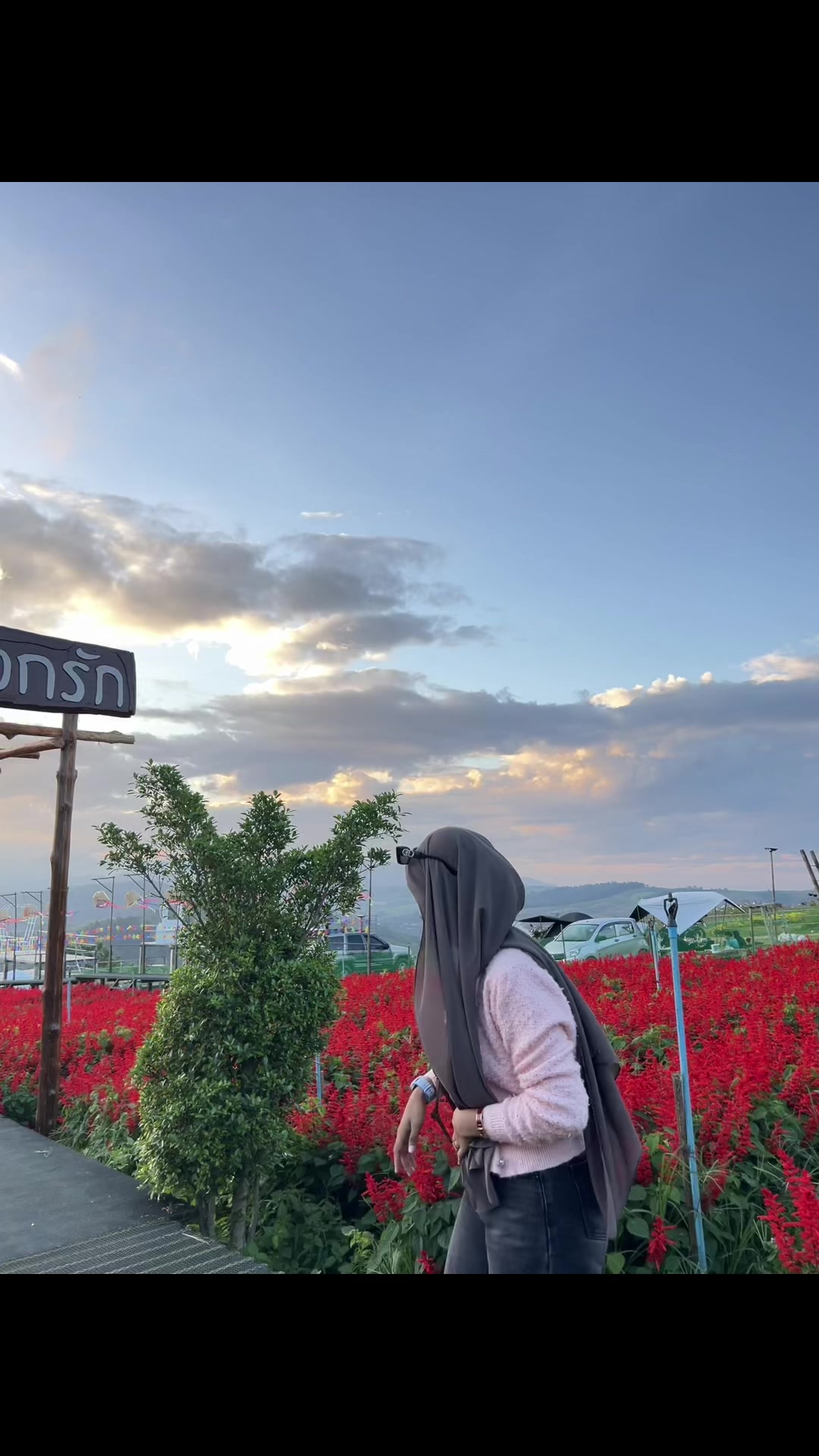 @DM channel 🍂🦋