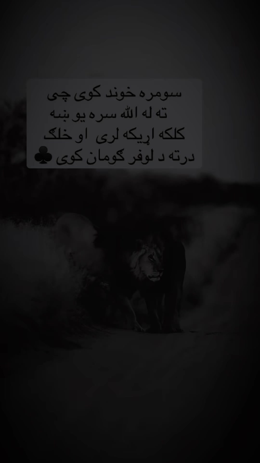 @🇦🇫 زڪـͫــͣــͥـریا🤍 🦅