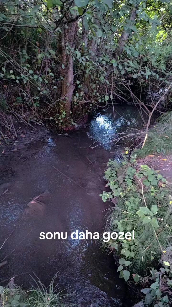 @RÖYAL_ƏHMƏDOGLU