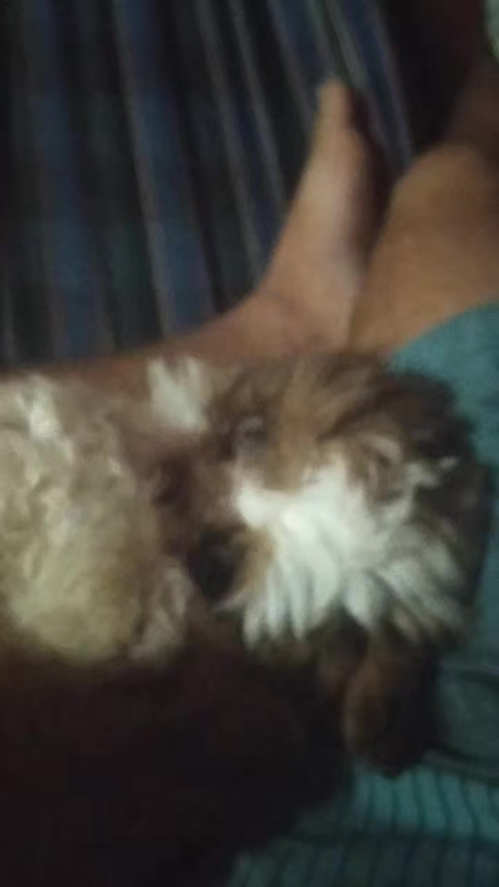 @gil_só_risos
