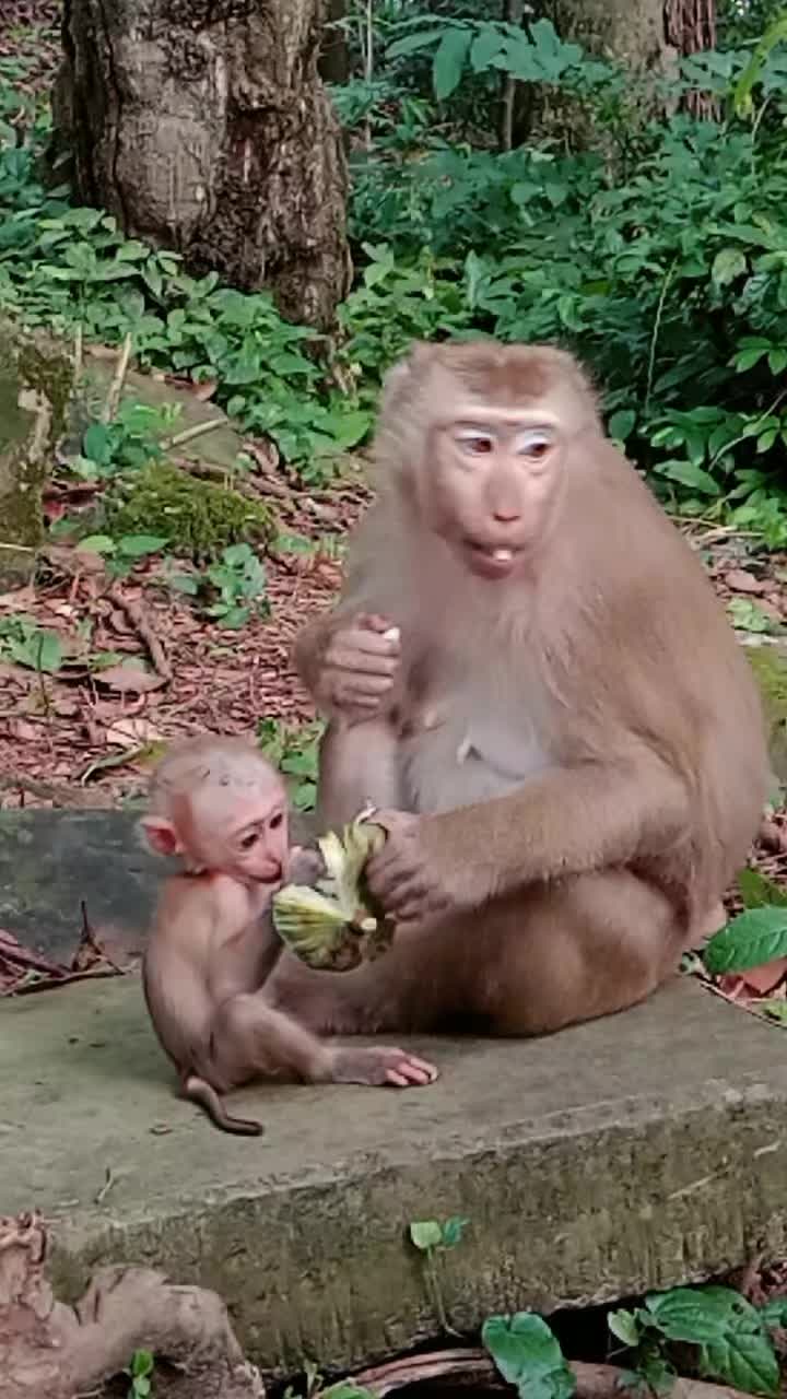 @seng kimhuot