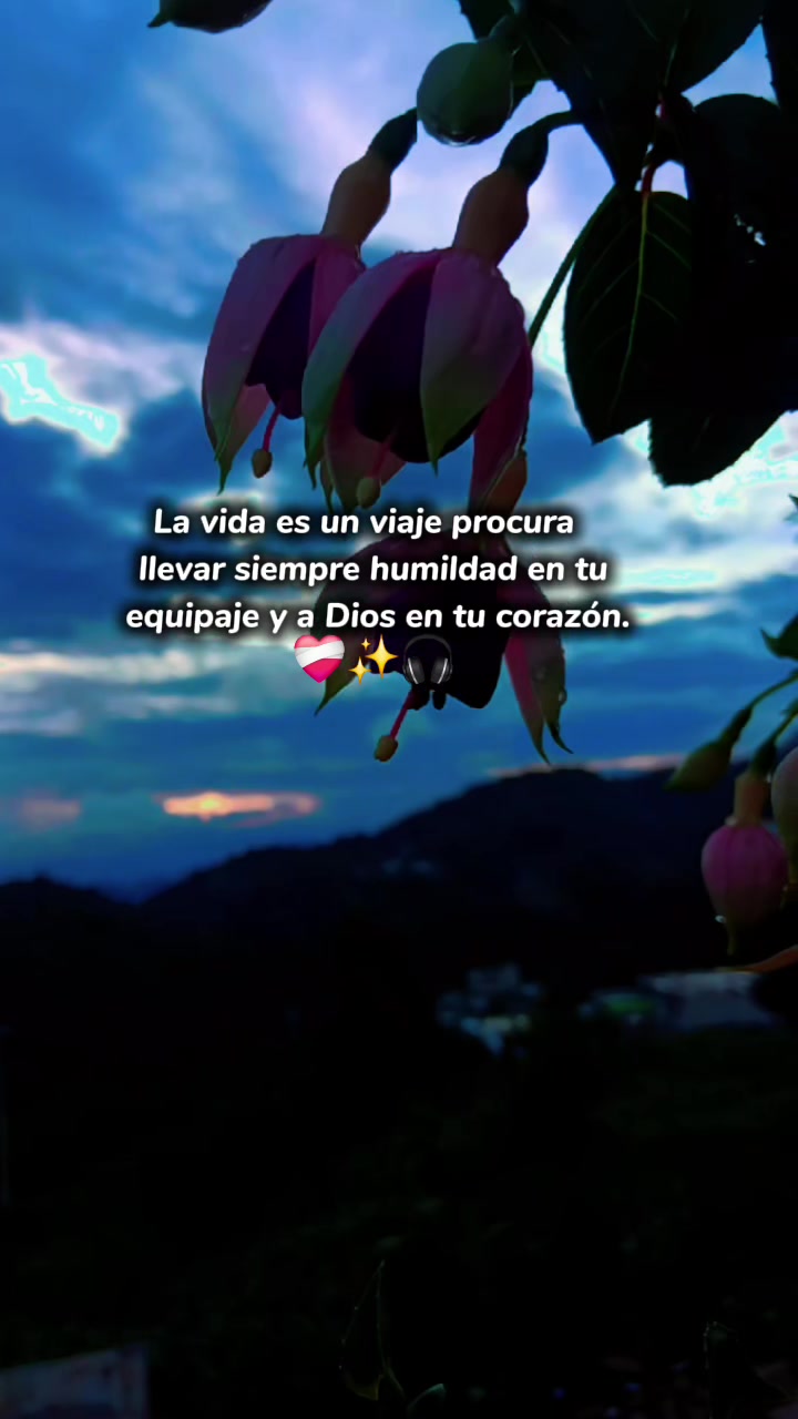 @yeli gomez