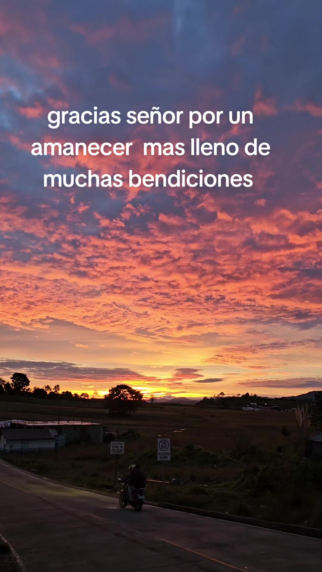 @CONSTRUCCIONES VICASTHER