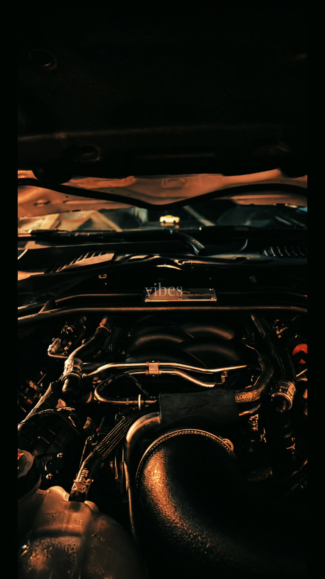 @Stang540