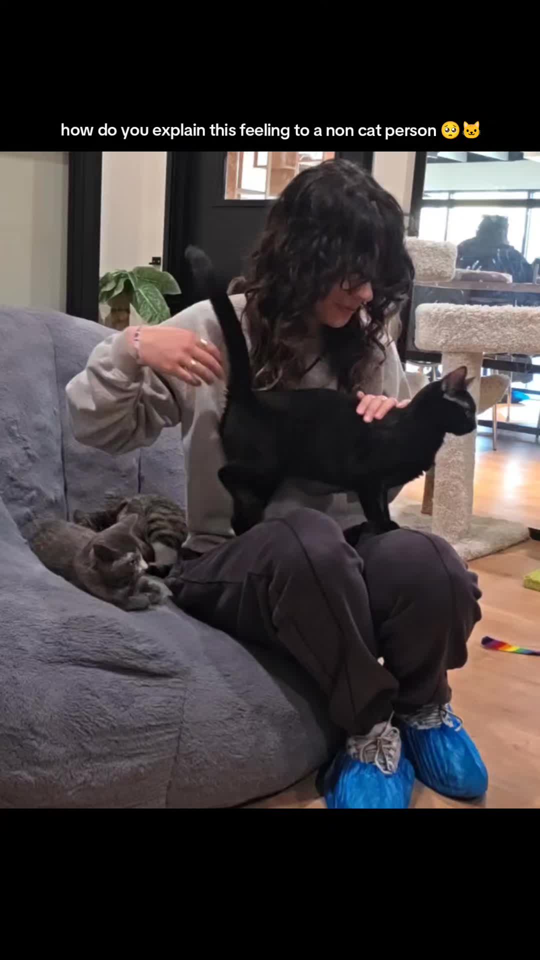 @lexclipz