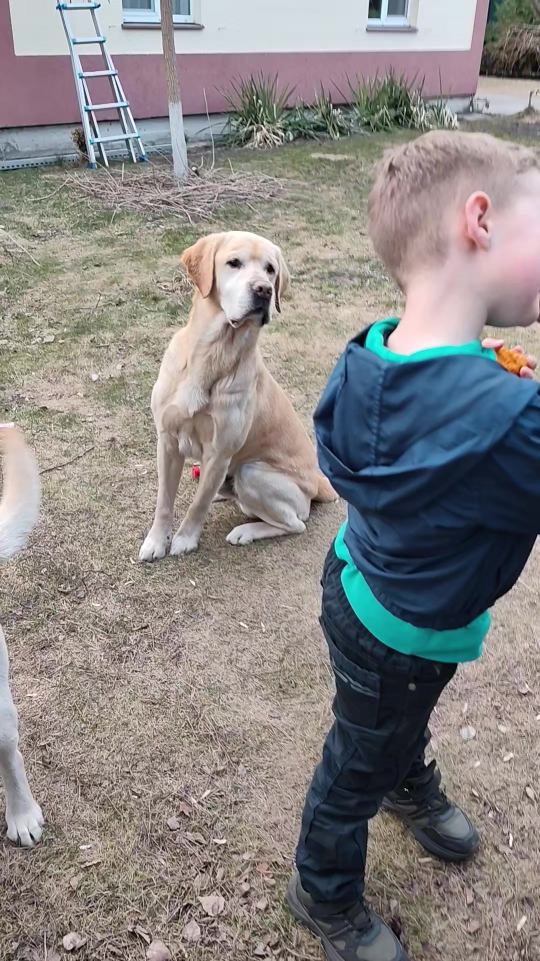 @Макс и Джесси