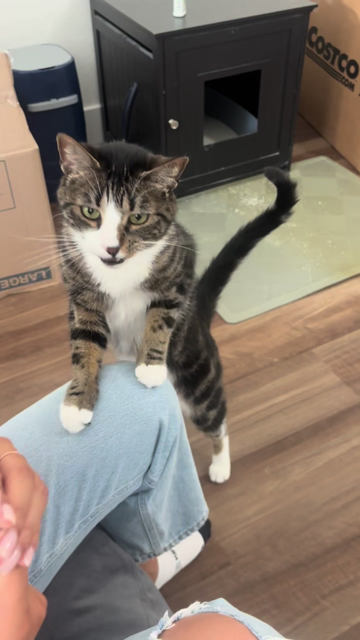 @Pet Food Express