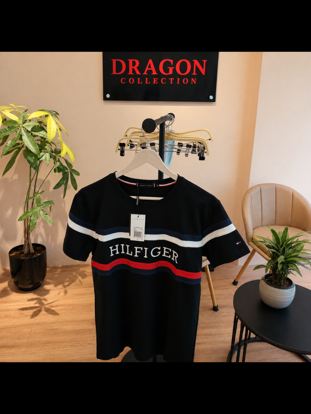 @DRAGON COLLECTION 💧