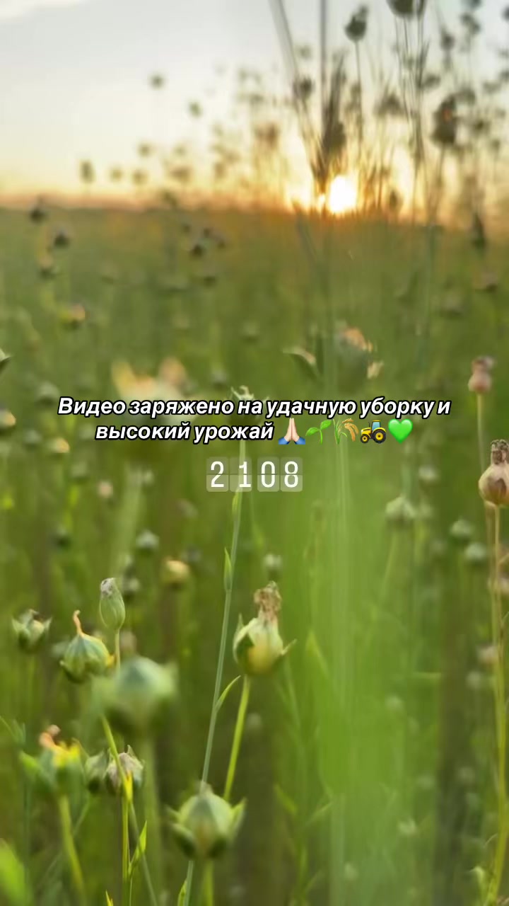 @AgroWoman 👩🏻🌾💚