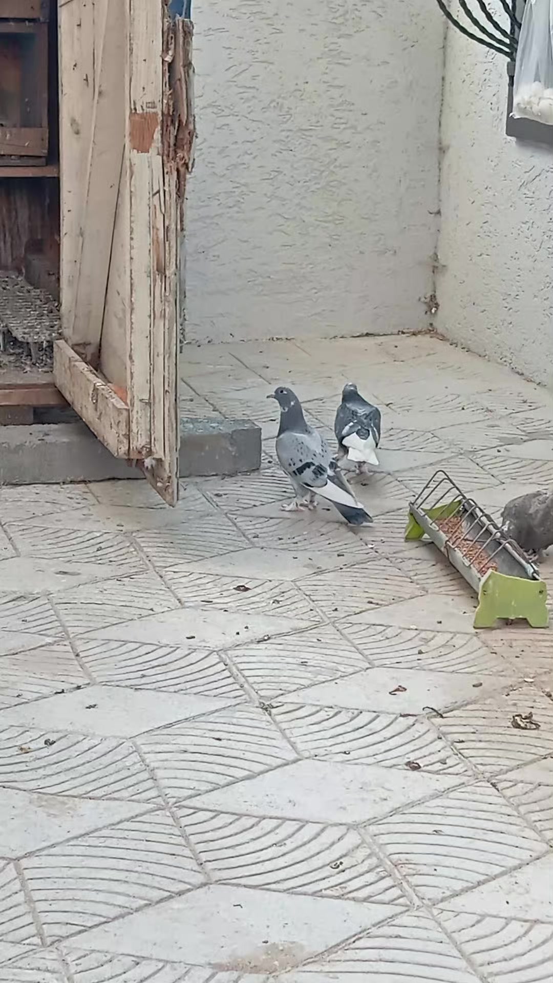 @Kenan Öztürk