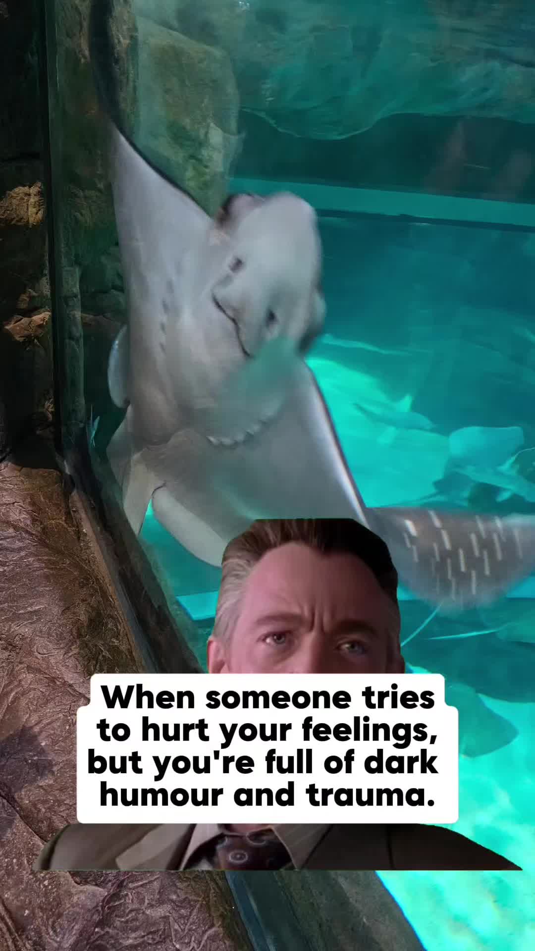 @Jessica Dawson 🦖