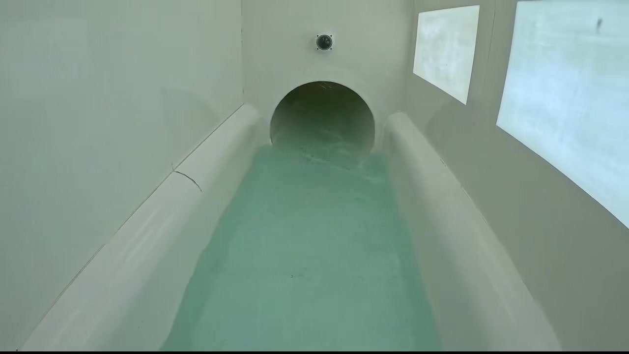 @poolcel