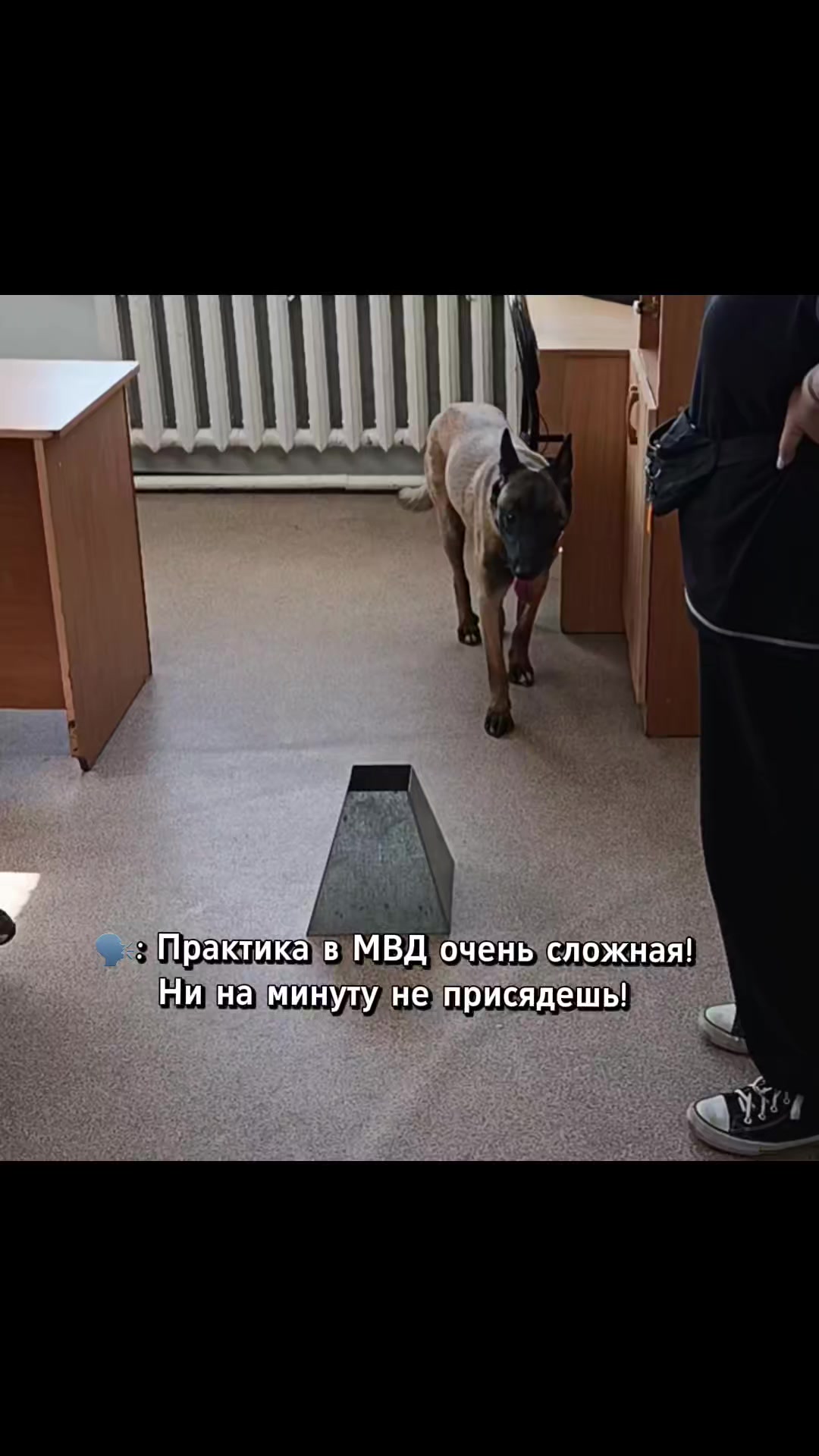 @⚡Кита from авито⚡