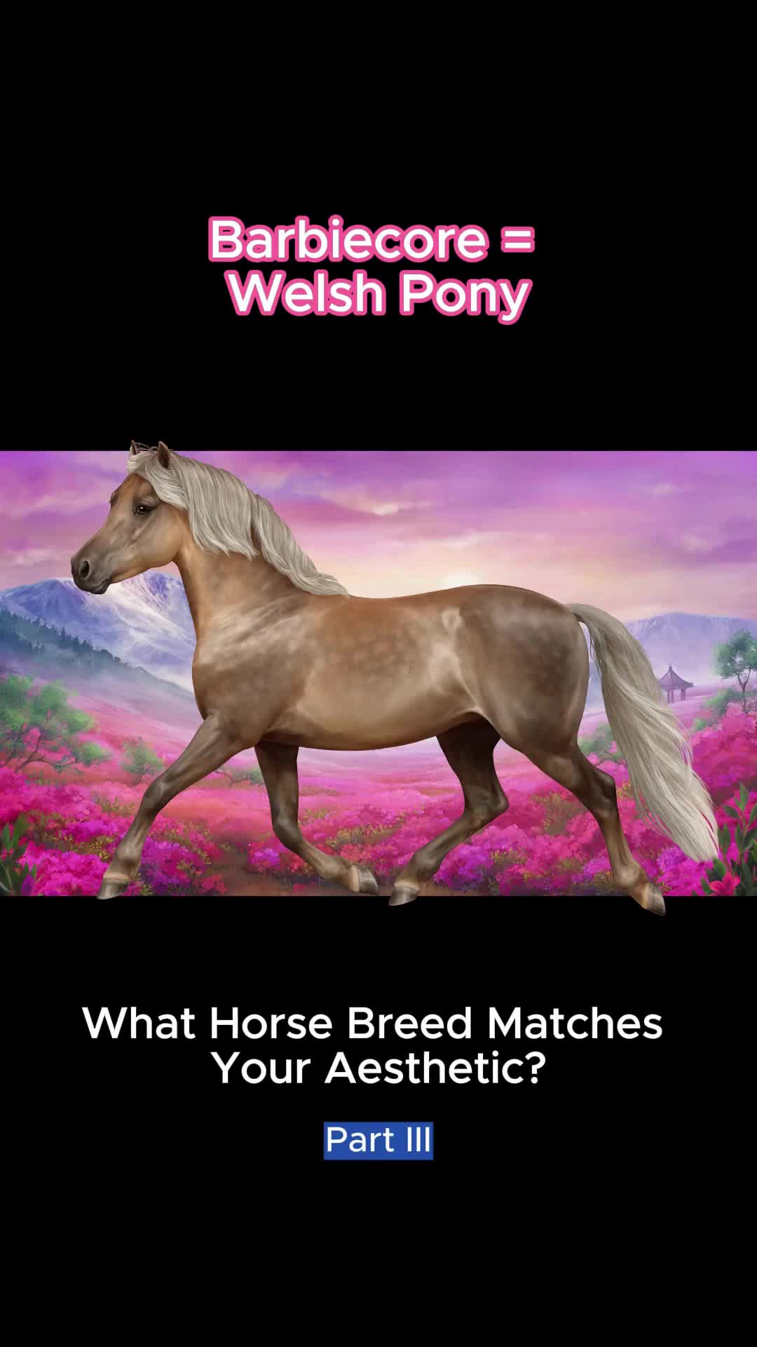 @Horse Reality