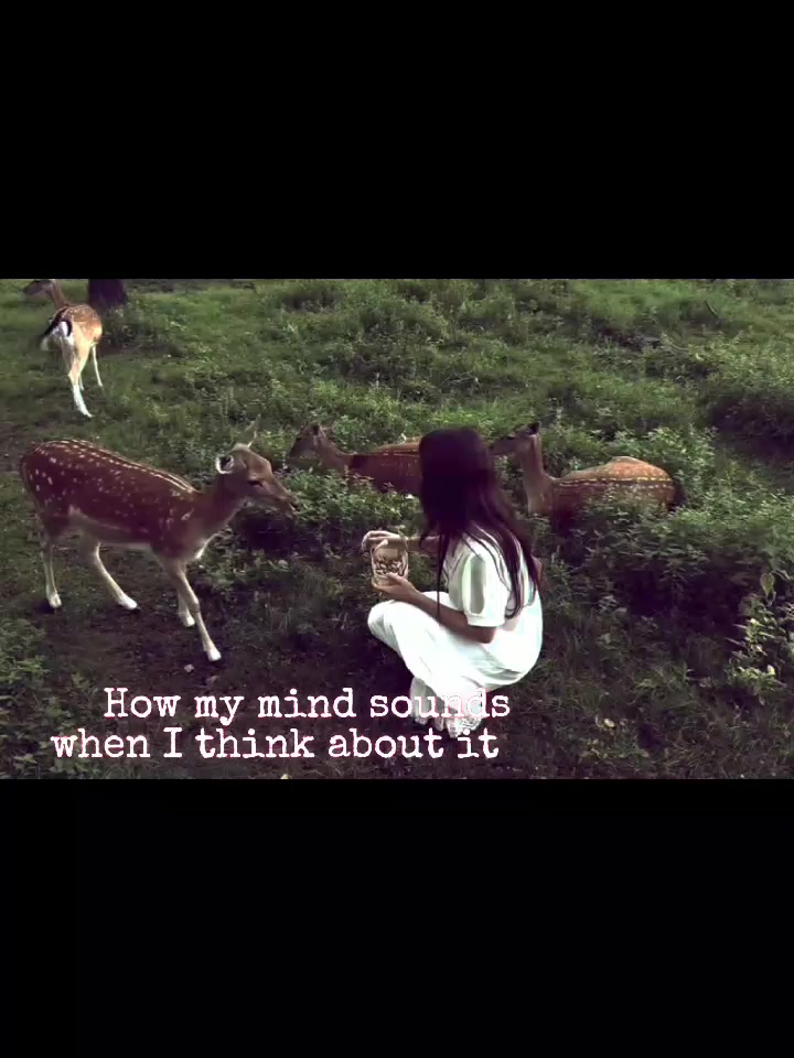 @𓏲ּ𝄢