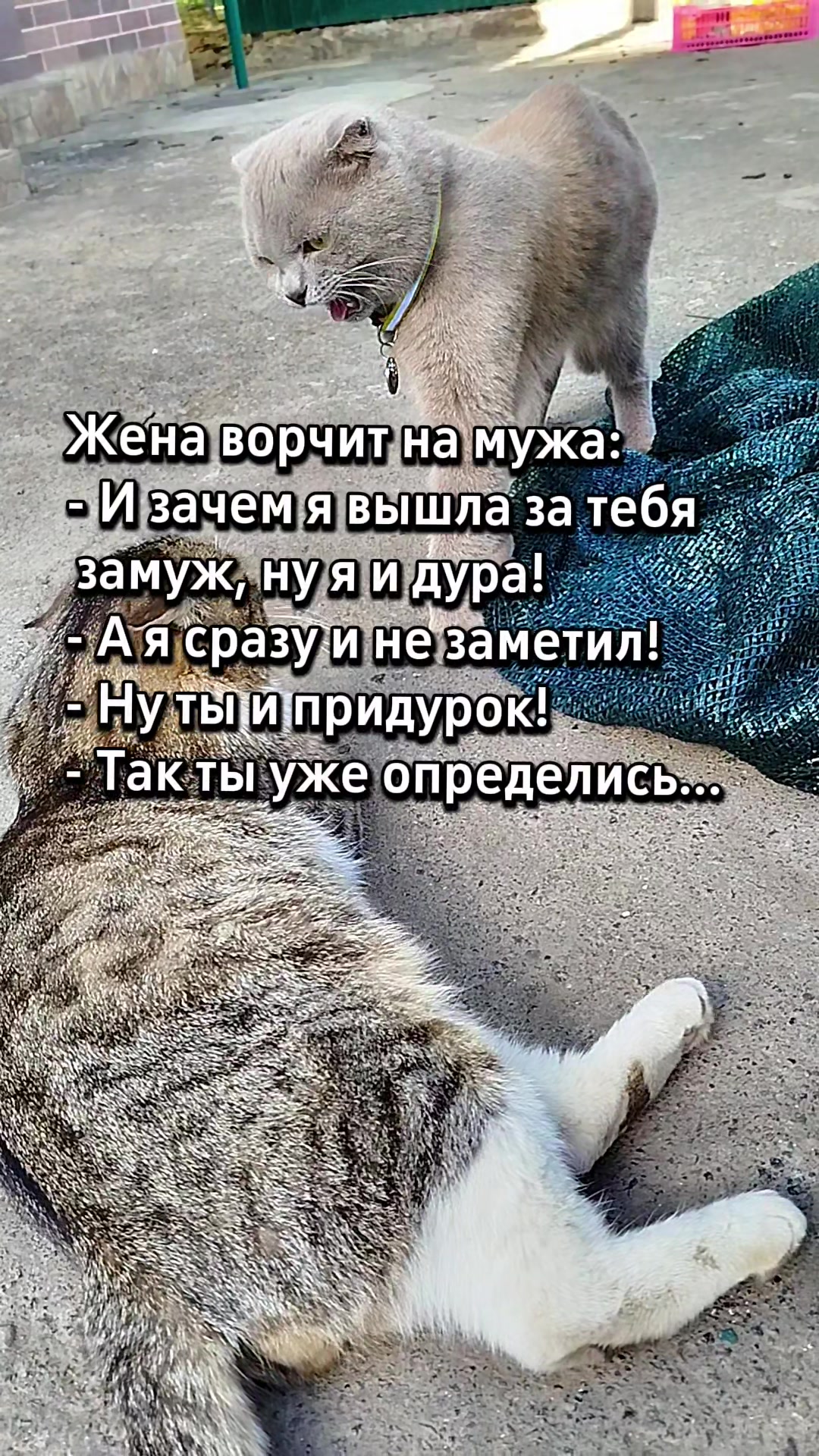 @🐈Масик&Андрей🥰