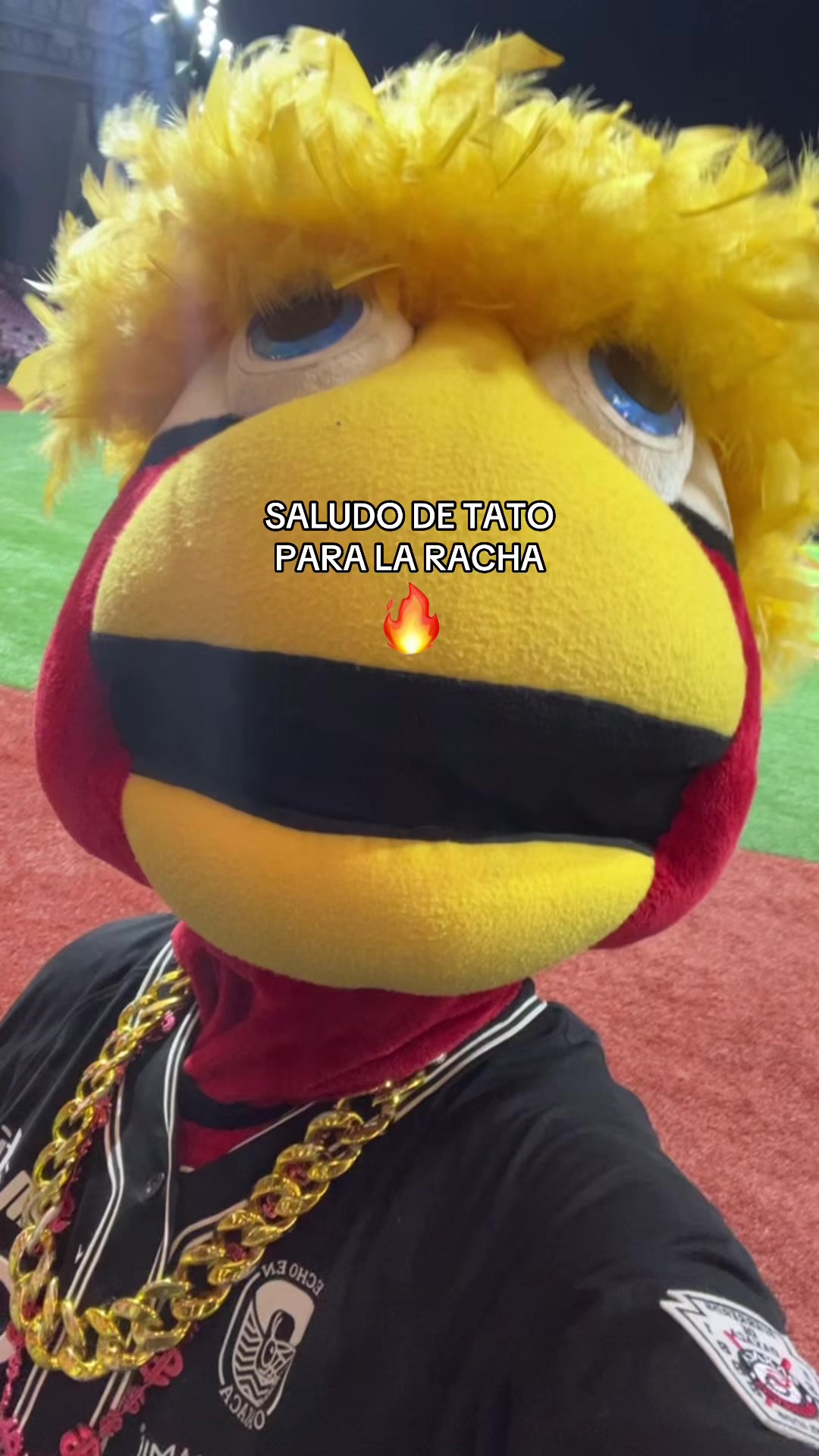 @GuerrerosdeOaxaca