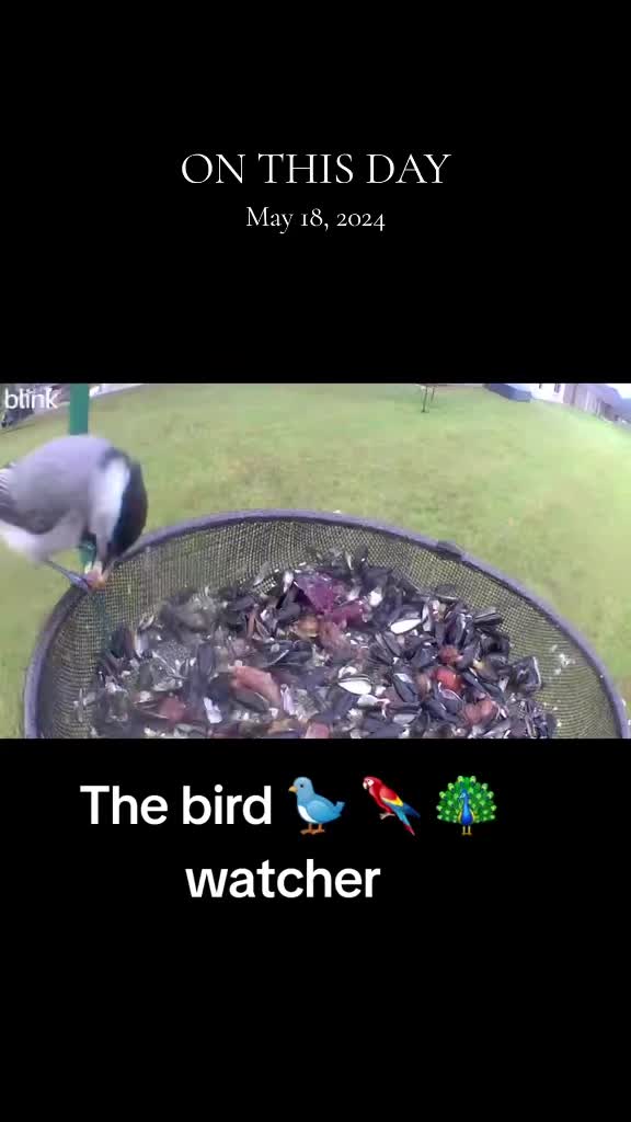 @The bird watcher 🐦 🦜 🦚