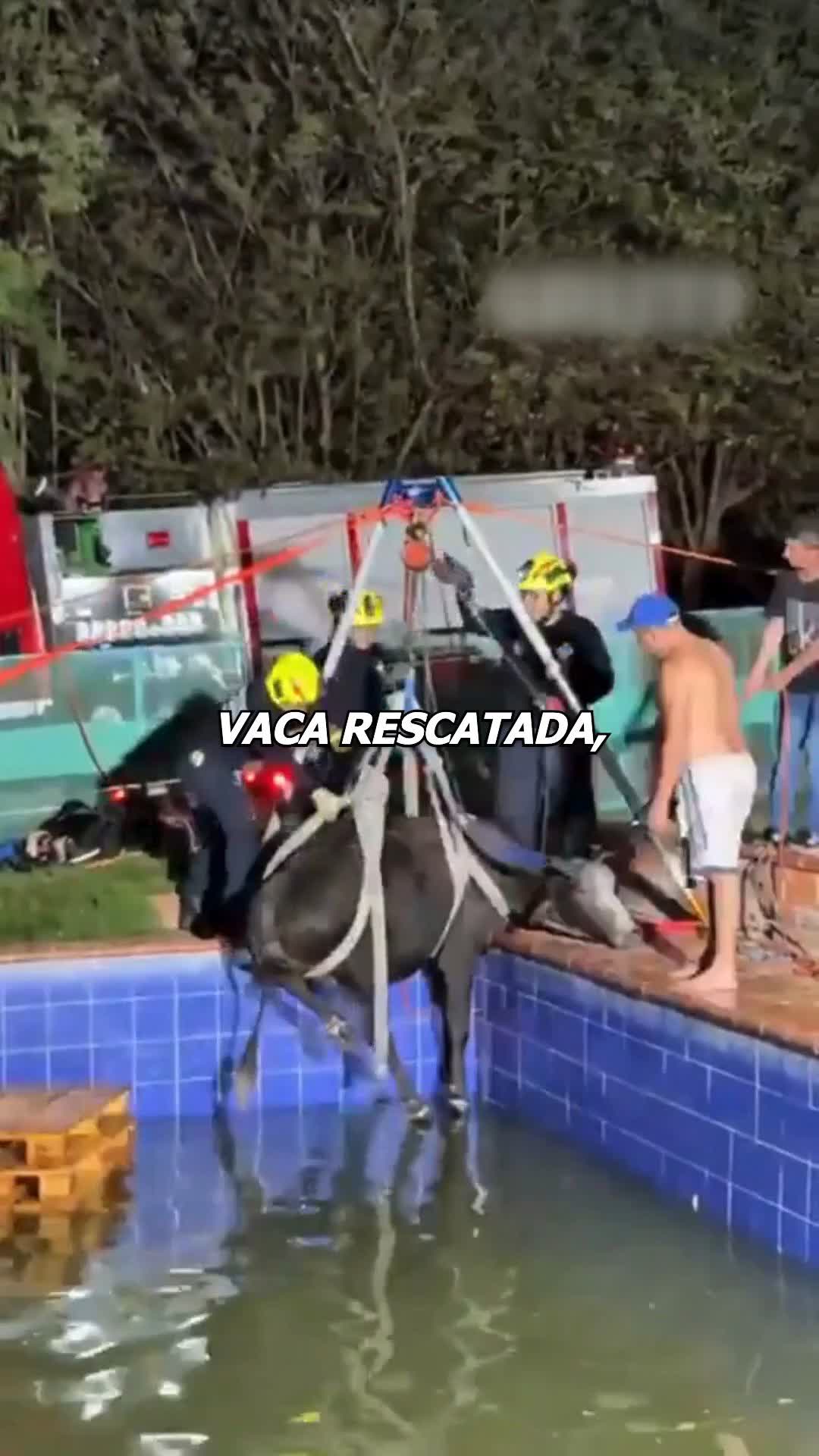 @Charlygalleta