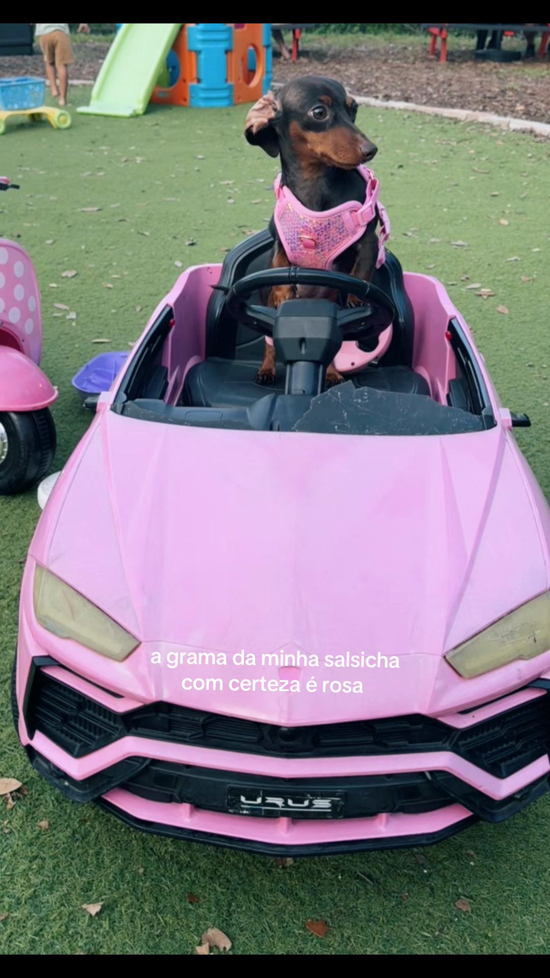 @Lele